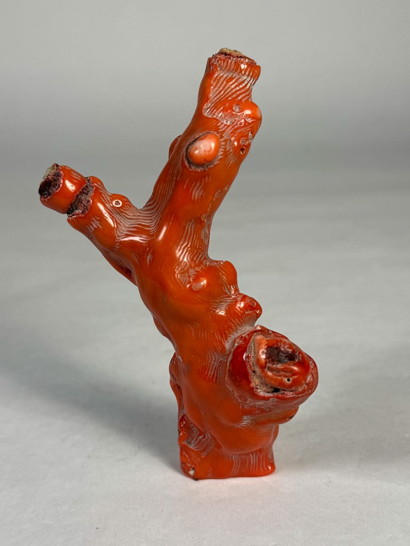A LARGE PIECE OF RED CORAL, 5" (1 of 3)