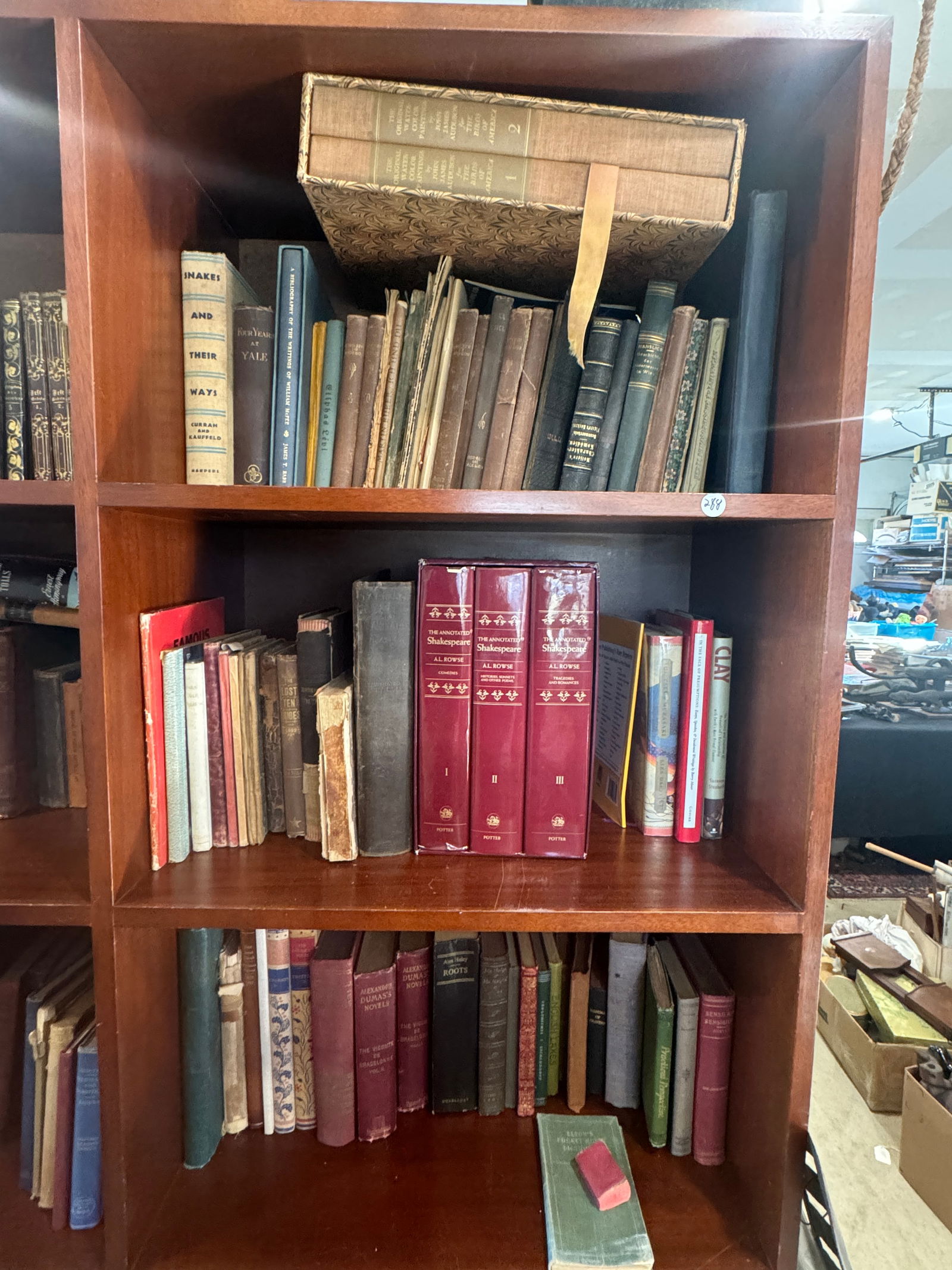 THREE SHELVES OF BOOKS (1 of 4)