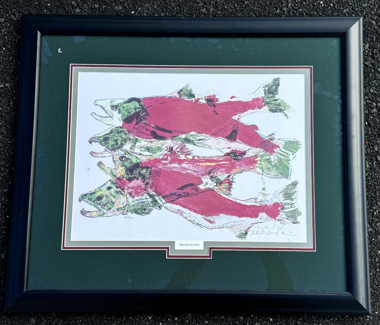 RARE PRINT OF SALMON, "RED FISH RETURN" BY DOUGLAS YOUNG AND RICHARD ALSAGER. 32" X 27" FRAMED AND: RARE PRINT OF SALMON, "RED FISH RETURN" BY DOUGLAS YOUNG AND RICHARD ALSAGER. 32" X 27" FRAMED AND 21" X 15.5"