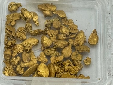 15.5 GRAMS OF GOLD NUGGETS