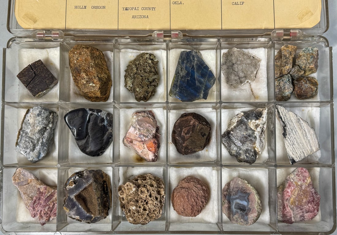 A CASE OF 18 IDENTIFIED FOSSILS IN DISPLAY CASE, 2.5" AND SMALLER (1 of 3)