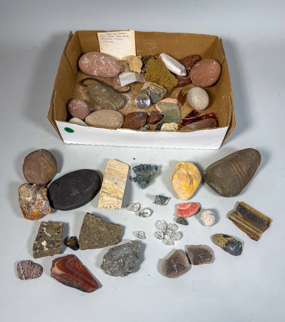 A CASE OF 18 IDENTIFIED FOSSILS IN DISPLAY CASE, 2.5" AND SMALLER (1 of 8)
