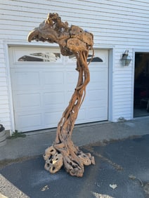 A LARGE DRIFTWOOD TREE LAMP, 44" X 35" X 92"