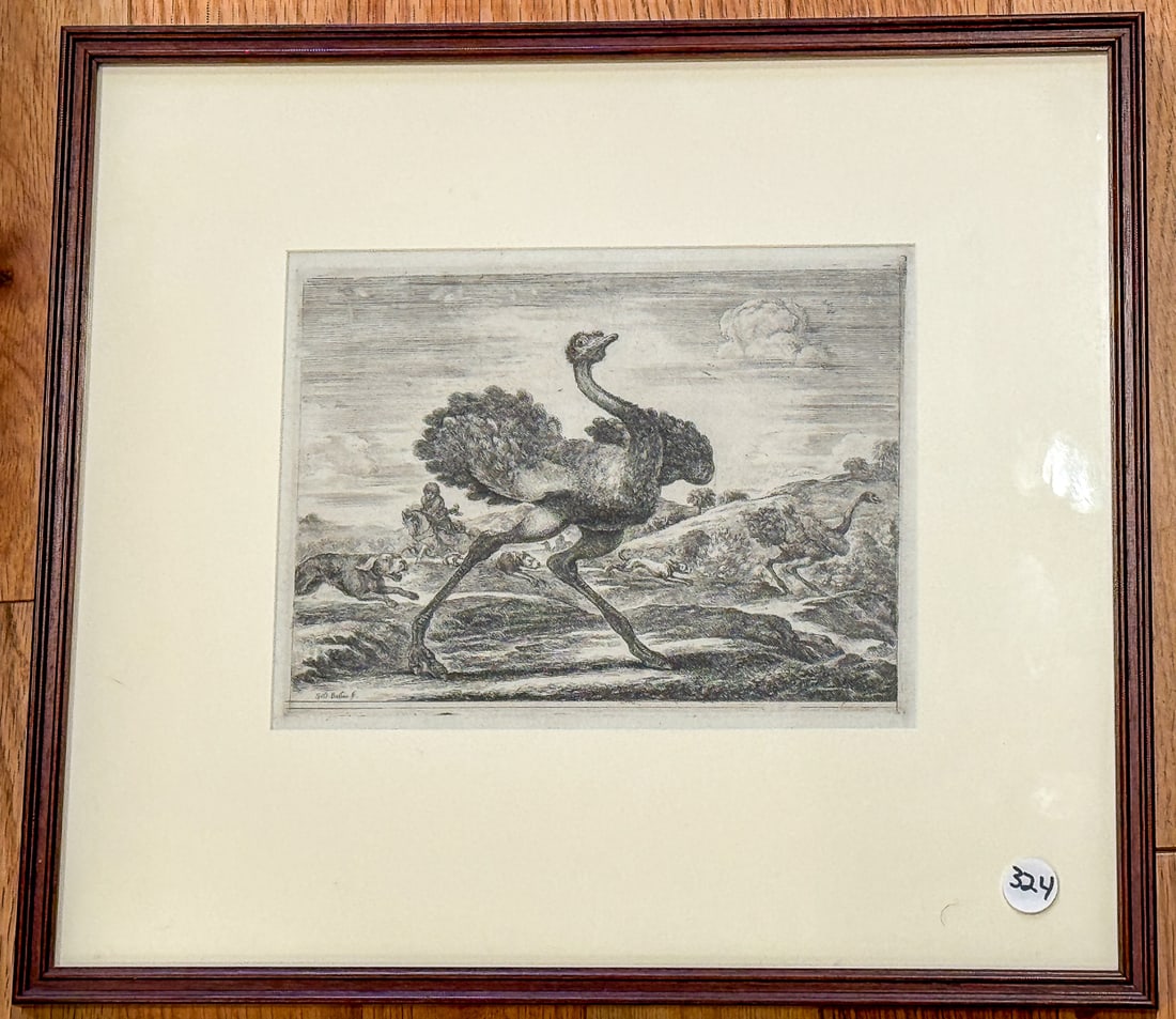 19TH CENTURY OSTRICH PRINTS, 14" X 15.5" FRAMED AND 7" X 9" SIGHT (1 of 5)