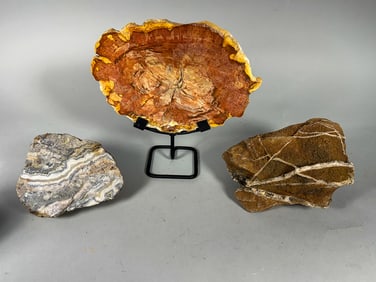 2 PIECES PETRIFIED WOOD AND A MINERAL SPECIMEN, 10" X 9" AND SMALLER