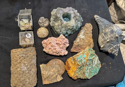 FOSSIL AND MINERAL LOT, 9" X 5" AND SMALLER