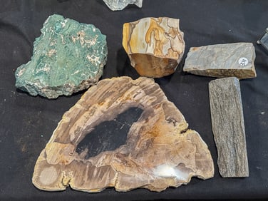 PETRIFIED WOOD AND MINERAL LOT, 14" X 9" AND SMALLER