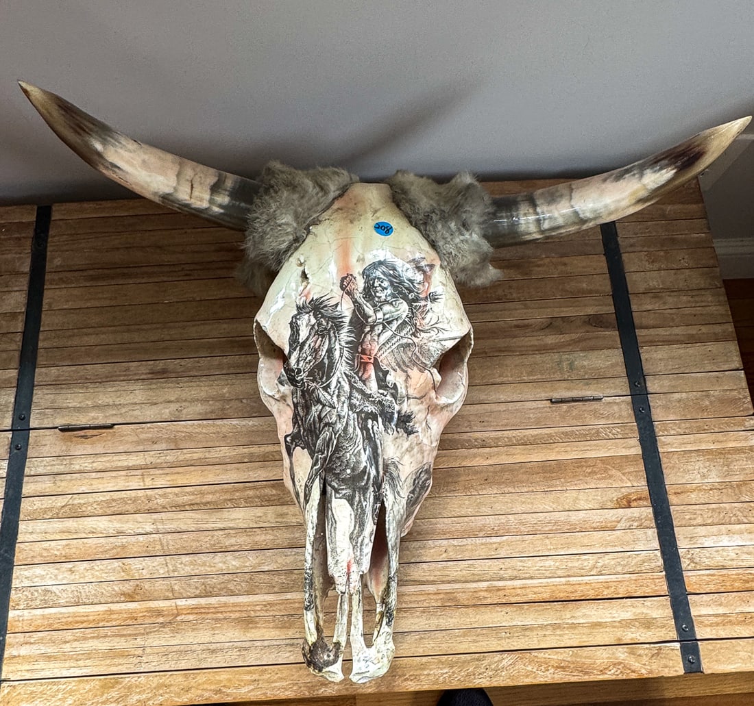 PAINTED STEER HEAD, 25" X 12" X 20" (1 of 3)