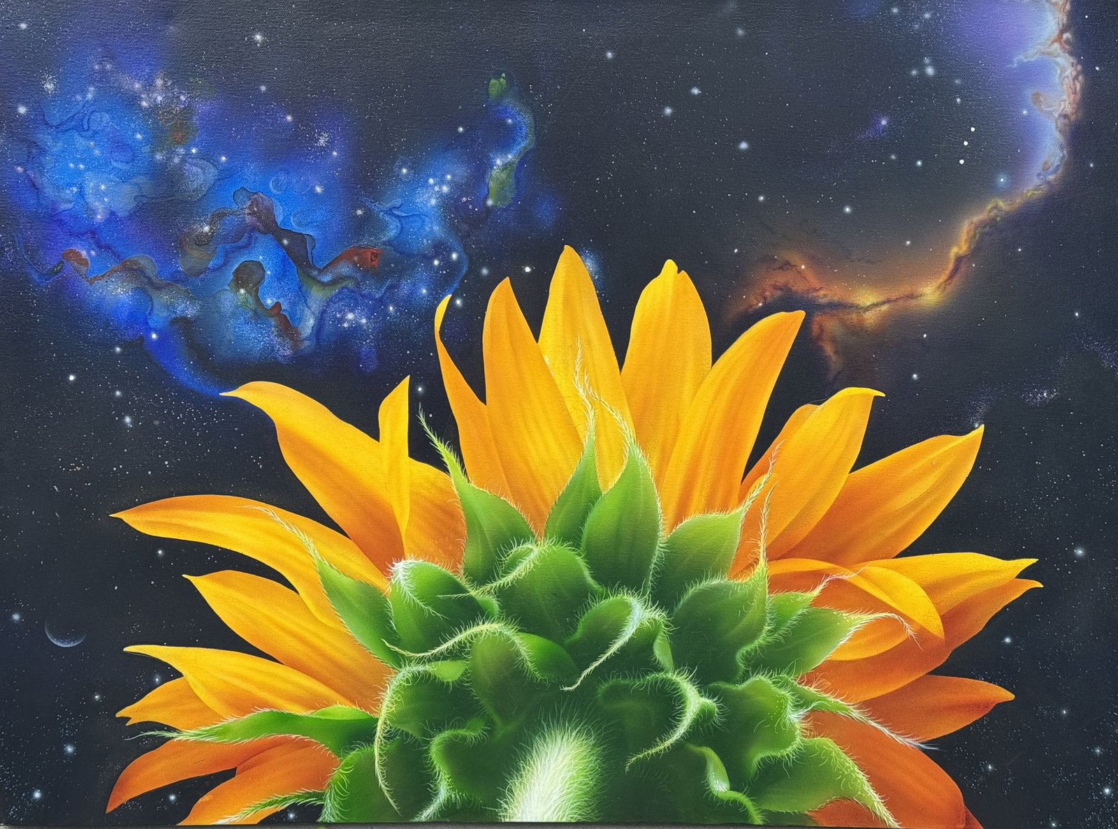 JUREK Zamoyski(Polish/American,1949-2025), "SUNFLOWER AND OUTER SPACE" 22"X 30": JUREK Zamoyski(Polish/American,1949-2025), "SUNFLOWER AND OUTER SPACE" 22"X 30"