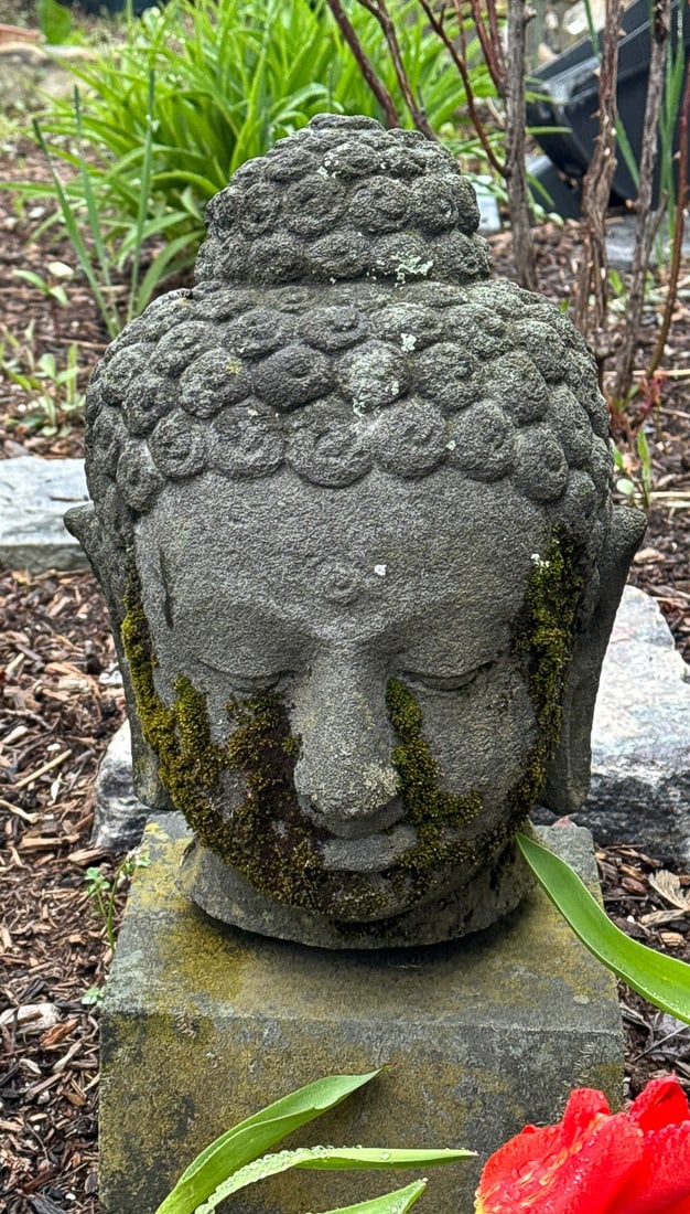 BUDDHA HEAD, 9" X 15": BUDDHA HEAD, 9" X 15"