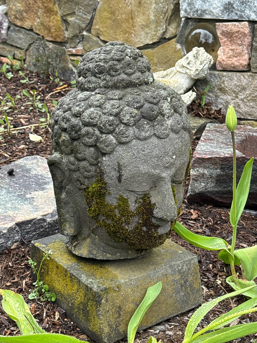 BUDDHA HEAD, 9" X 15" - 2
