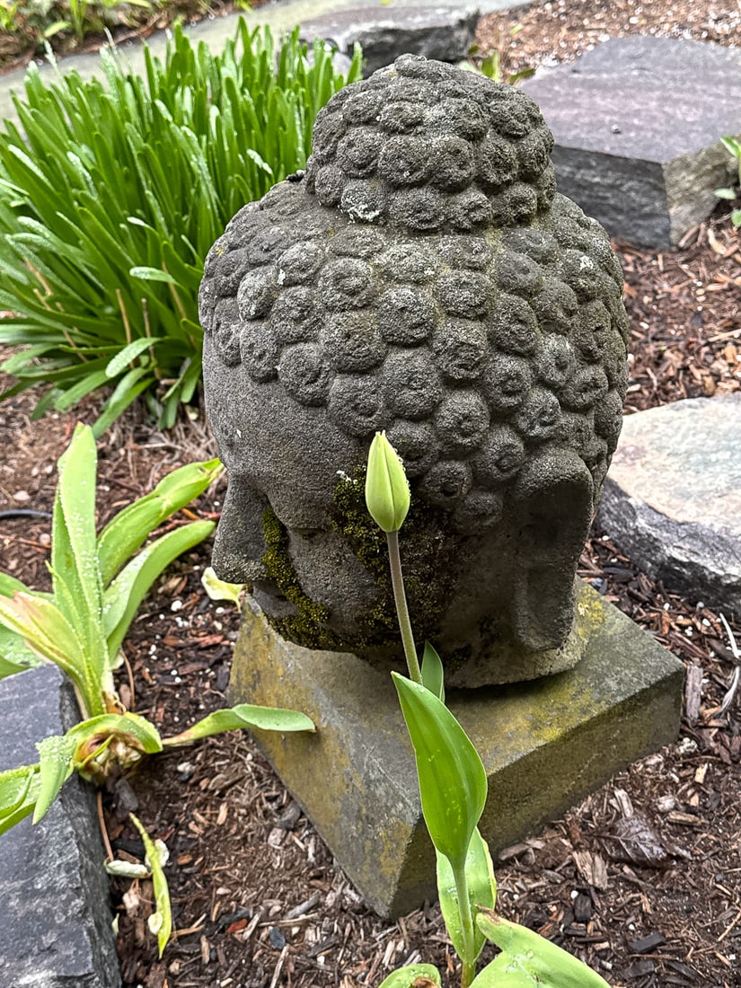 BUDDHA HEAD, 9" X 15" - 3