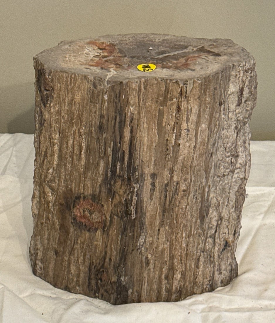 PETRIFIED WOOD LARGE PIECE, 13" X 9" X 10" (1 of 4)
