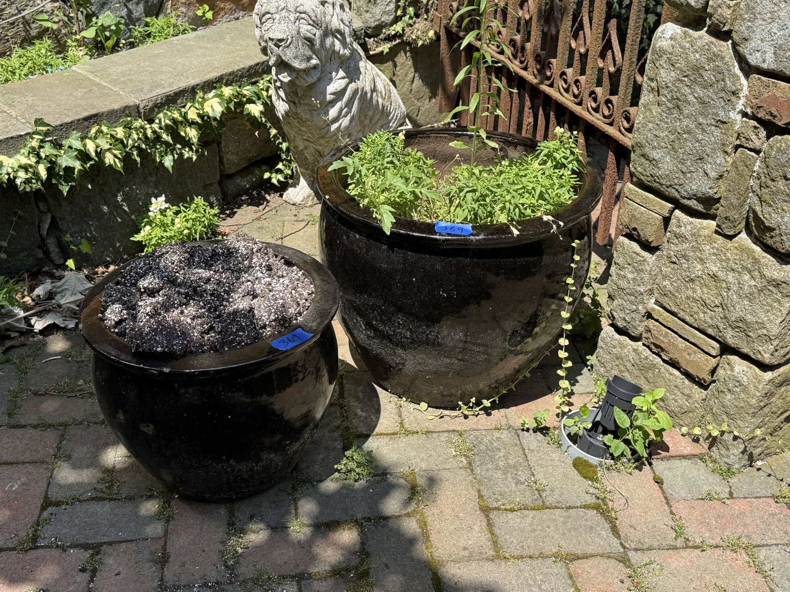 5 GARDEN POTS - 4