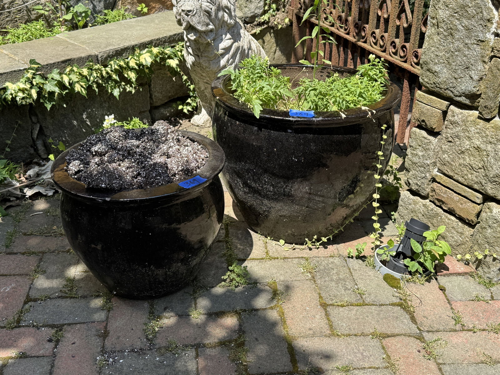 5 GARDEN POTS - 5