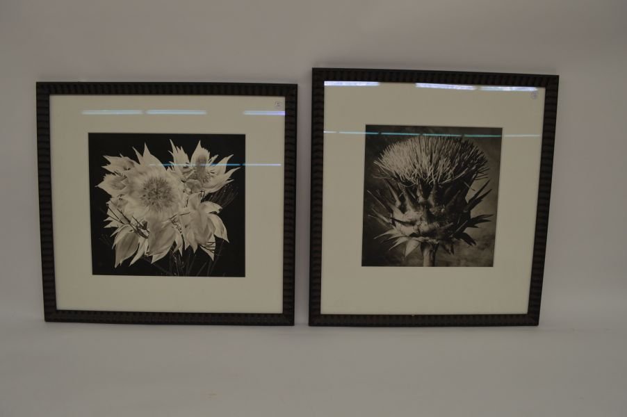 Cy DeCosse Large Format Gelatin Silver Prints: Pair of Large Format Cy Decosse Gelatia Silver Prints, signed