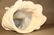 Chinese Blace-De Porcelain Figure - 3