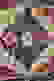 item-41082847=2