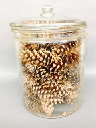 16" TALL 4 GALLON GLASS APOTHECARRY JAR: 16" TALL 4 GALLON GLASS APOTHECARRY JAR