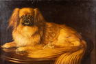 Léon Gérard CREPY (1872-1944) 'Pekinois' oil on canvas. 1932. (W: 60 x H: 40 cm)
