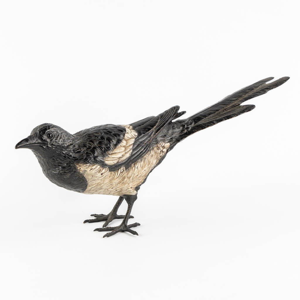 Franz BERGMANN (1861-1936) 'Magpie' cold painted bronze. Vienna, Austria. Circa 1900. (L:12 x W:37 x (1 of 12)