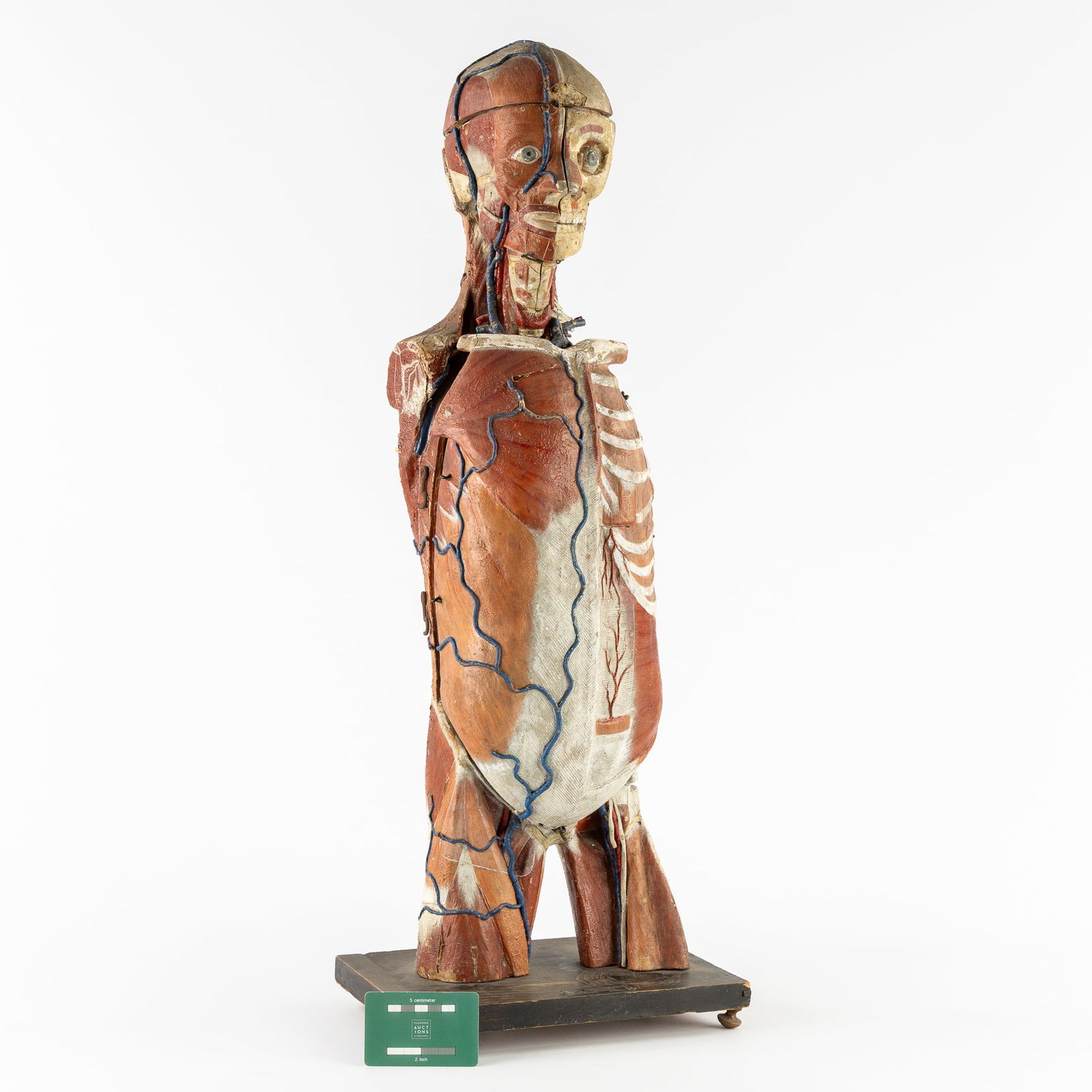 Louis Auzoux (1797-1880) an Exceptional Anatomical Model of the Human Body, Papier-Mâché, 19th C.: Louis Auzoux (1797-1880) an Exceptional Anatomical Model of the Human Body, Papier-Mâché, 19th century. An anatomical model of the human body (excluding limbs).All organs are modelled separately and