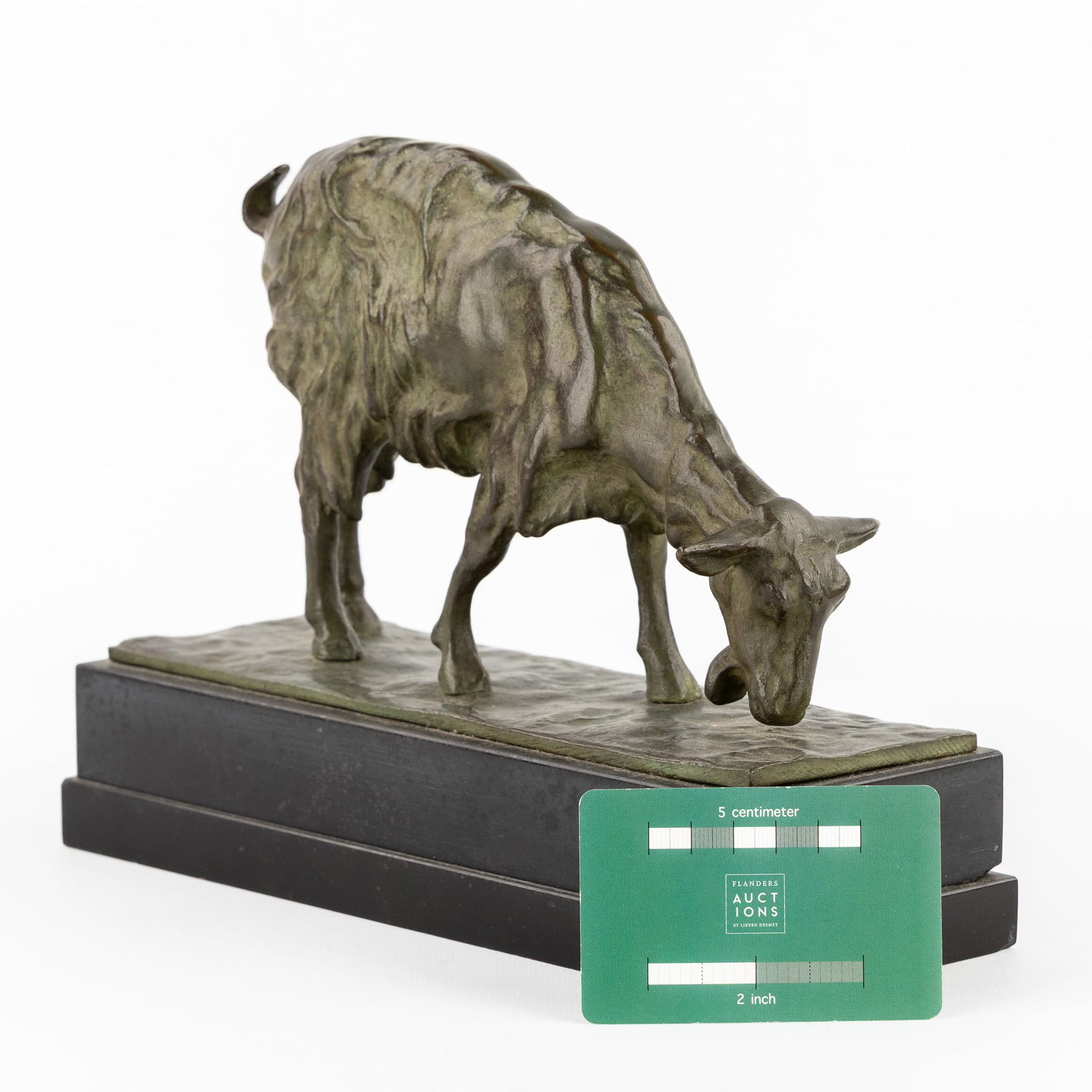 After Pierre-Jules Mene (1810-1879) 'Goat' (1 of 7)