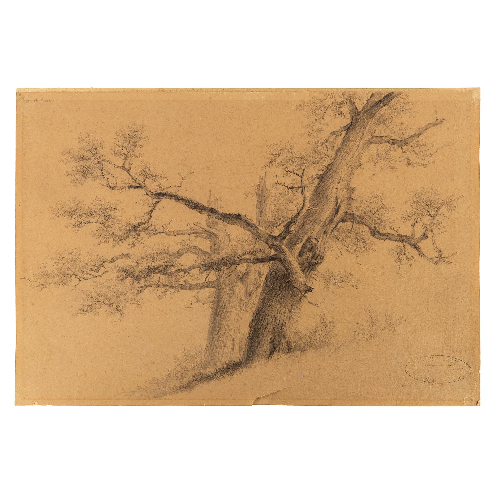 Eugene Verboeckhoven (1798/1799-1881) 'Barbizon', a drawing, pencil on paper (1869?).: Eugene Verboeckhoven (1798/1799-1881) 'Barbizon', a drawing, pencil on paper (1869?). A drawing, study for two treesPencil on paper.Monogrammed and dated (in pencil) lower right.Titled (in pencil) upp