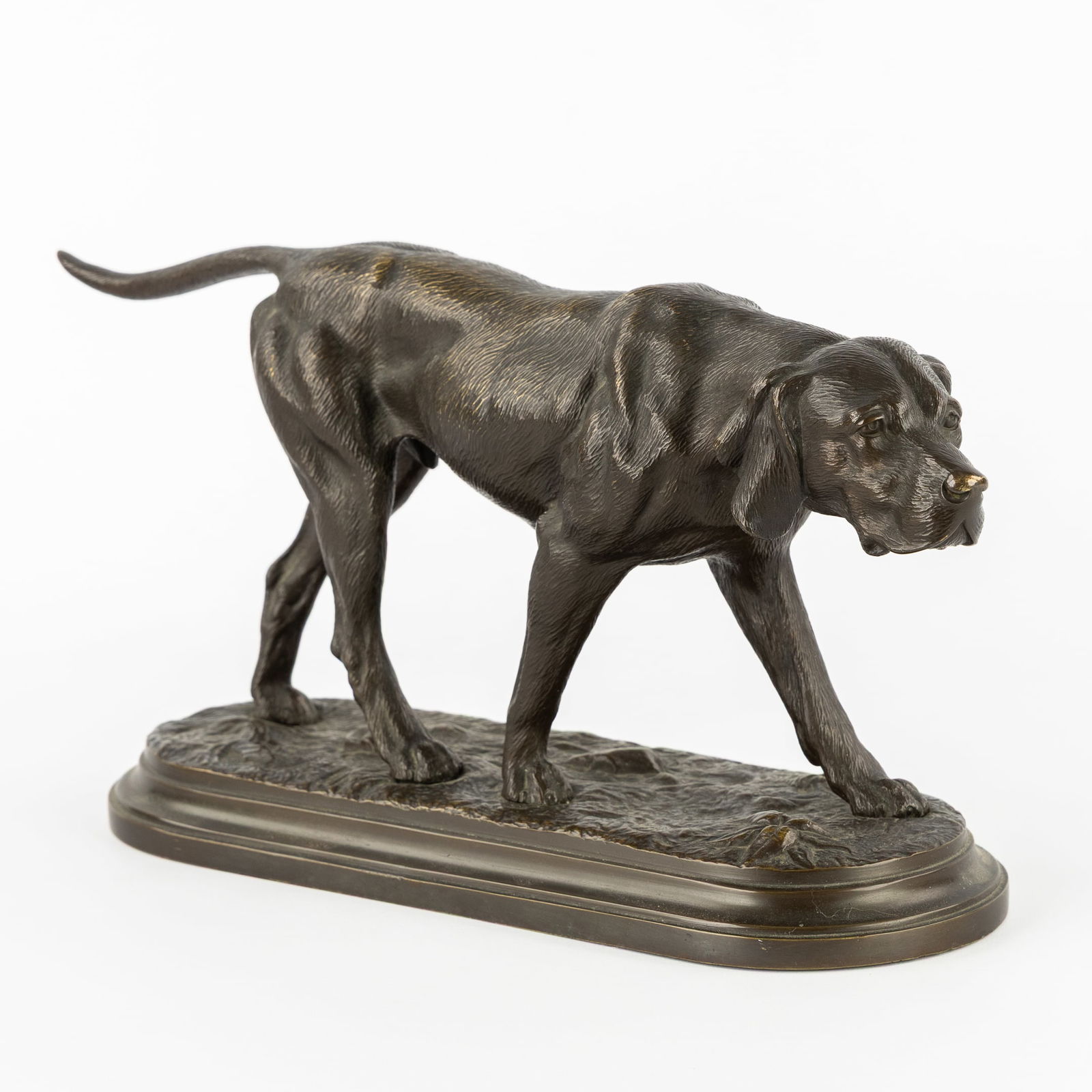A Patinated Bronze Sculpture of a Hunting Dog.: A Patinated Bronze Sculpture of a Hunting Dog. Patinated bronze.Not signed.