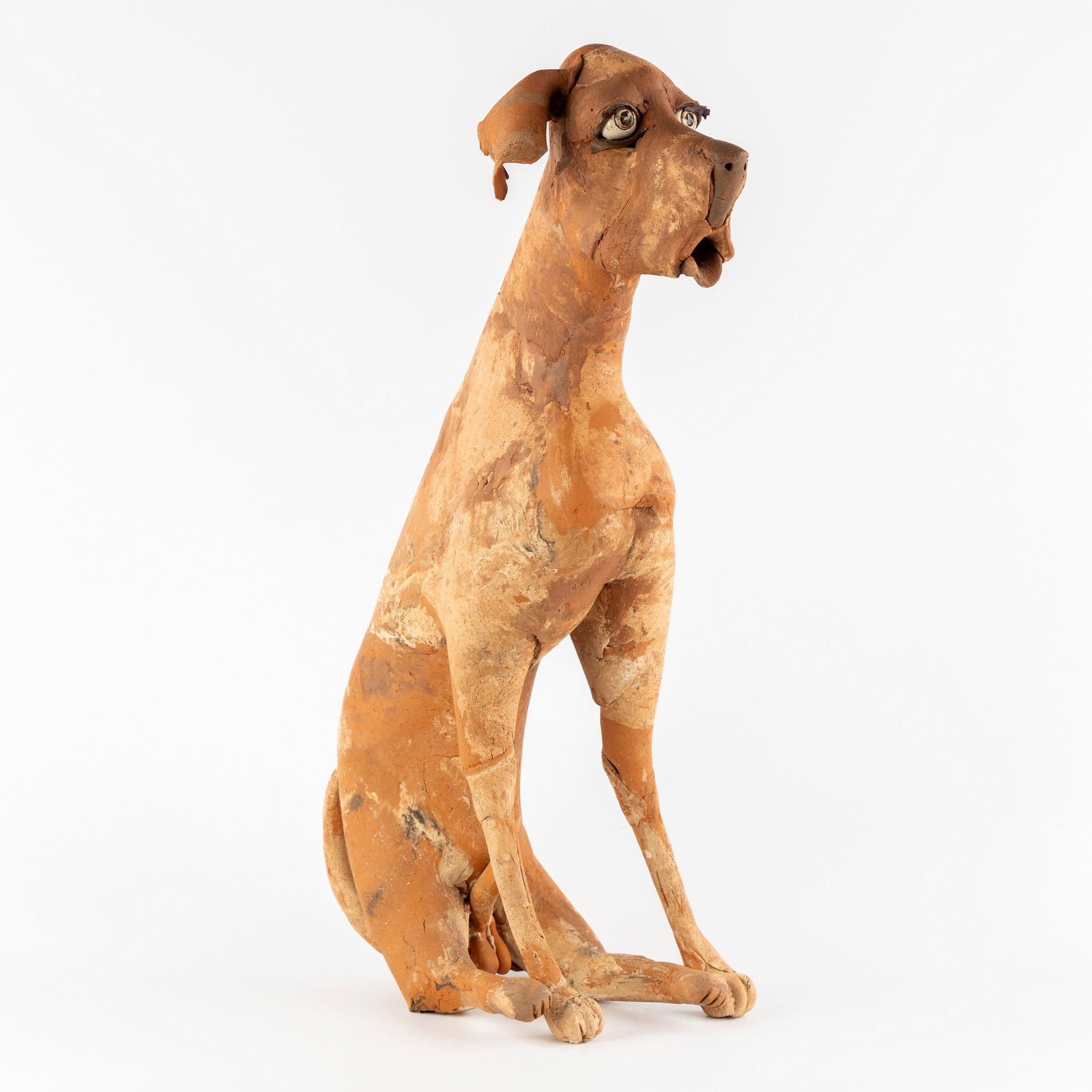 Paul De Vos (1943) 'Sitting Dog', terracotta.: Paul De Vos (1943) 'Sitting Dog', terracotta. Figure of a seated dog.Terracotta.With studio stamp and numbered 154. (47 x 65 x 20 cm)