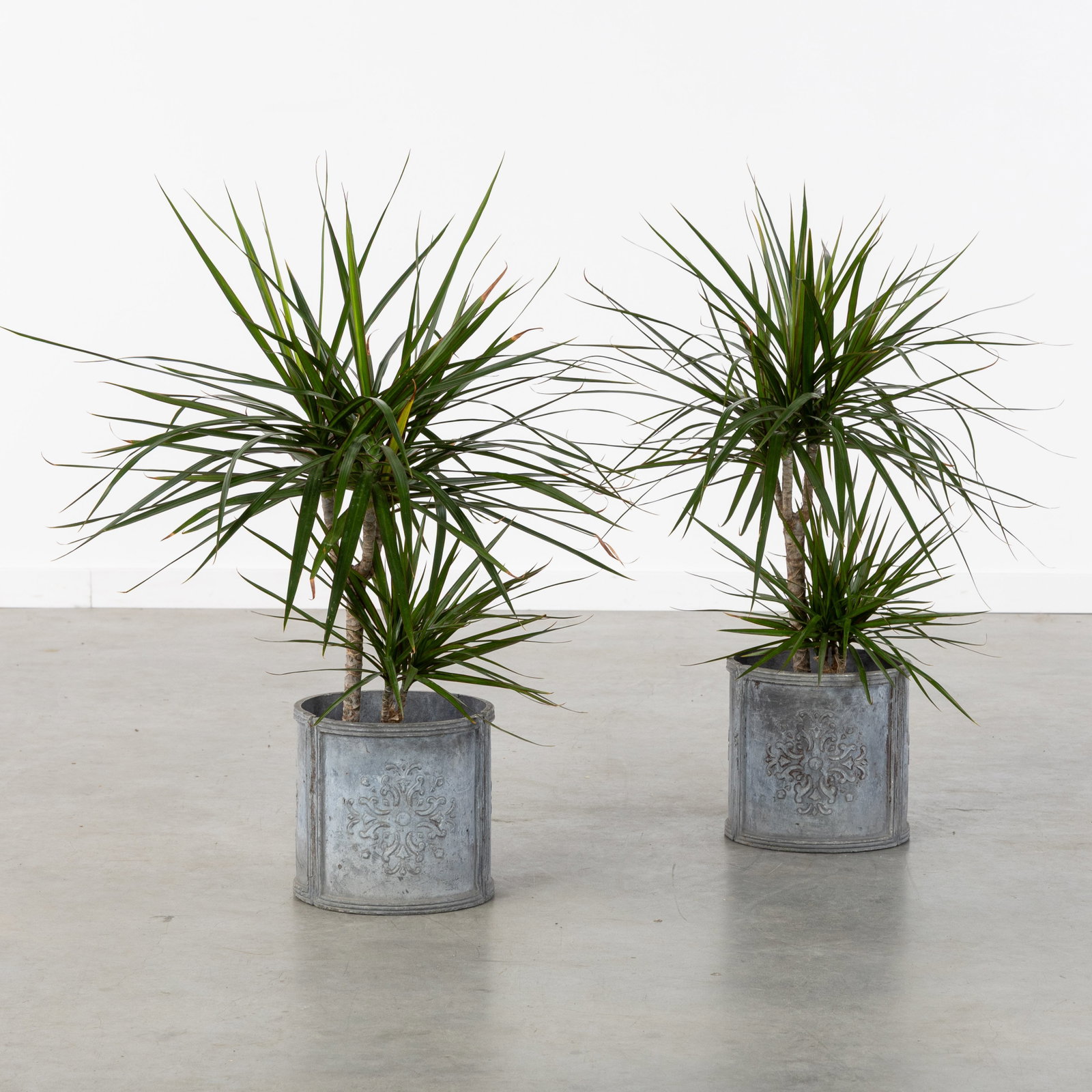 A Pair of Lead planters or cache pots, 20th C. (1 of 5)