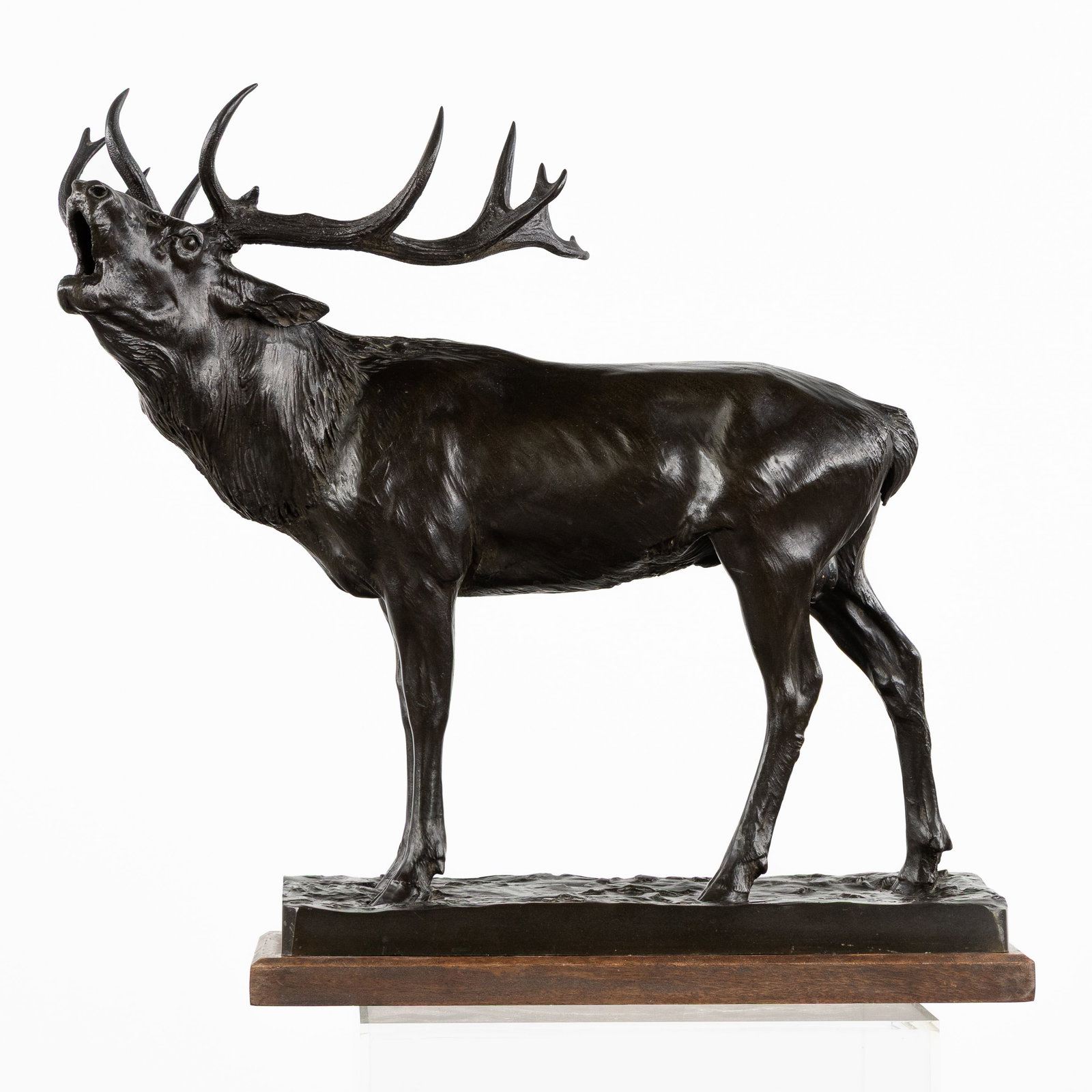 Joseph Franz Pallenberg (1882-1945) 'Red Deer', patinated bronze (1905).: Joseph Franz Pallenberg (1882-1945) 'Red Deer', patinated bronze (1905). Patinated bronze.Large model of a red deer.Signed 'Jos. Pallenberg' and dated 1905.Foundry mark 'Kunstgisserei Vorwärts, Köln