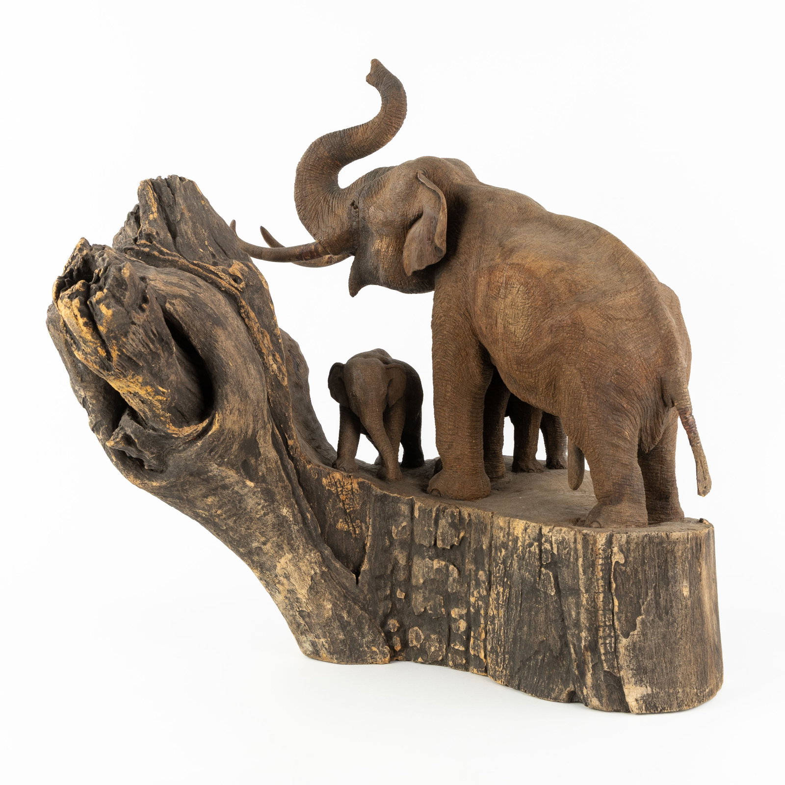 A Large sculpture of a Bull Elephant and Calves, sculptured driftwood.: A Large sculpture of a Bull Elephant and Calves, sculptured driftwood. Dimensions: (W:56 x H:57 x L:55 cm) The absence of a condition report does not imply a perfect item. Please send us an e-mail to 