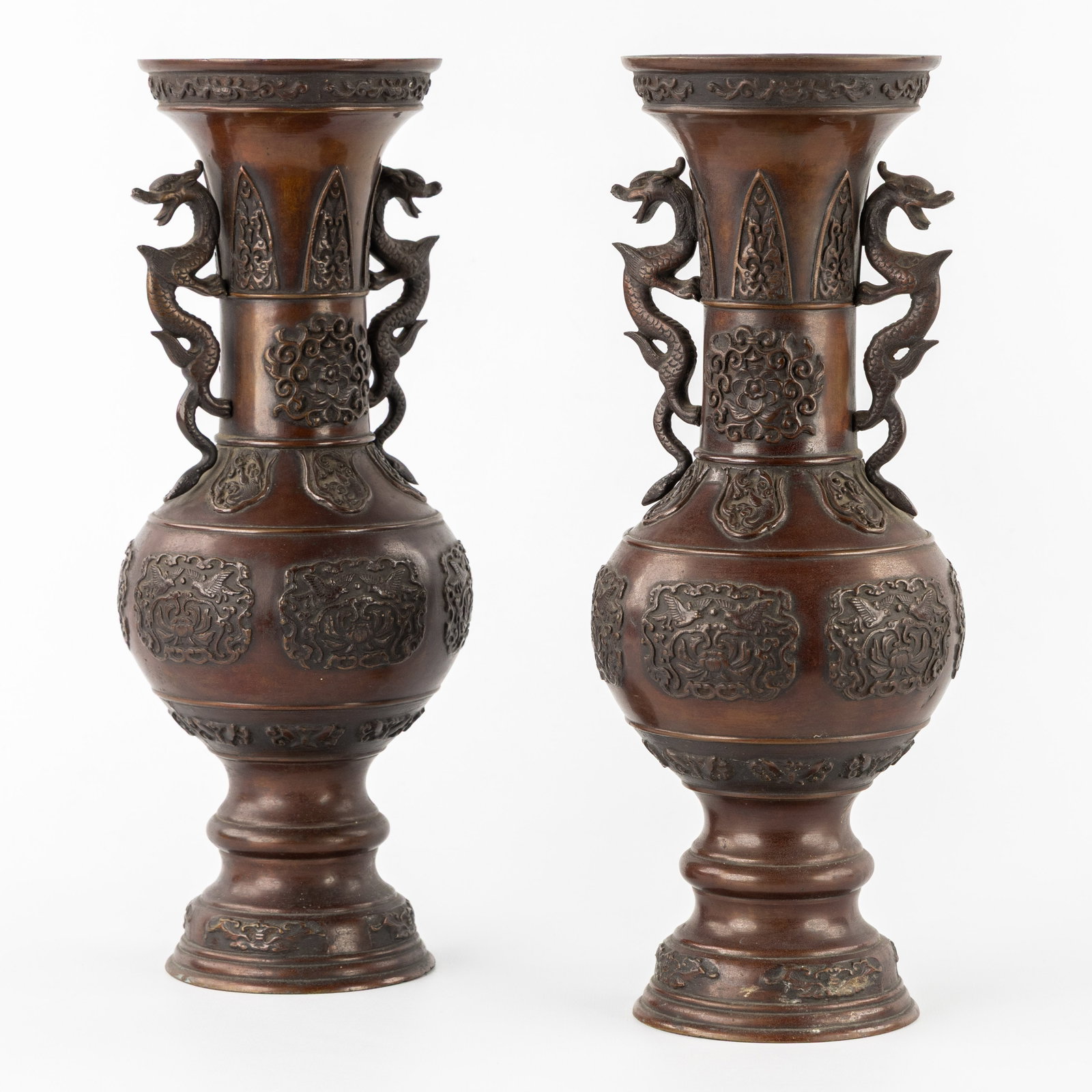A pair of Japanese vases decorated with dragons, fauna, and flora, patinated bronze. 19th/20th C. (1 of 8)