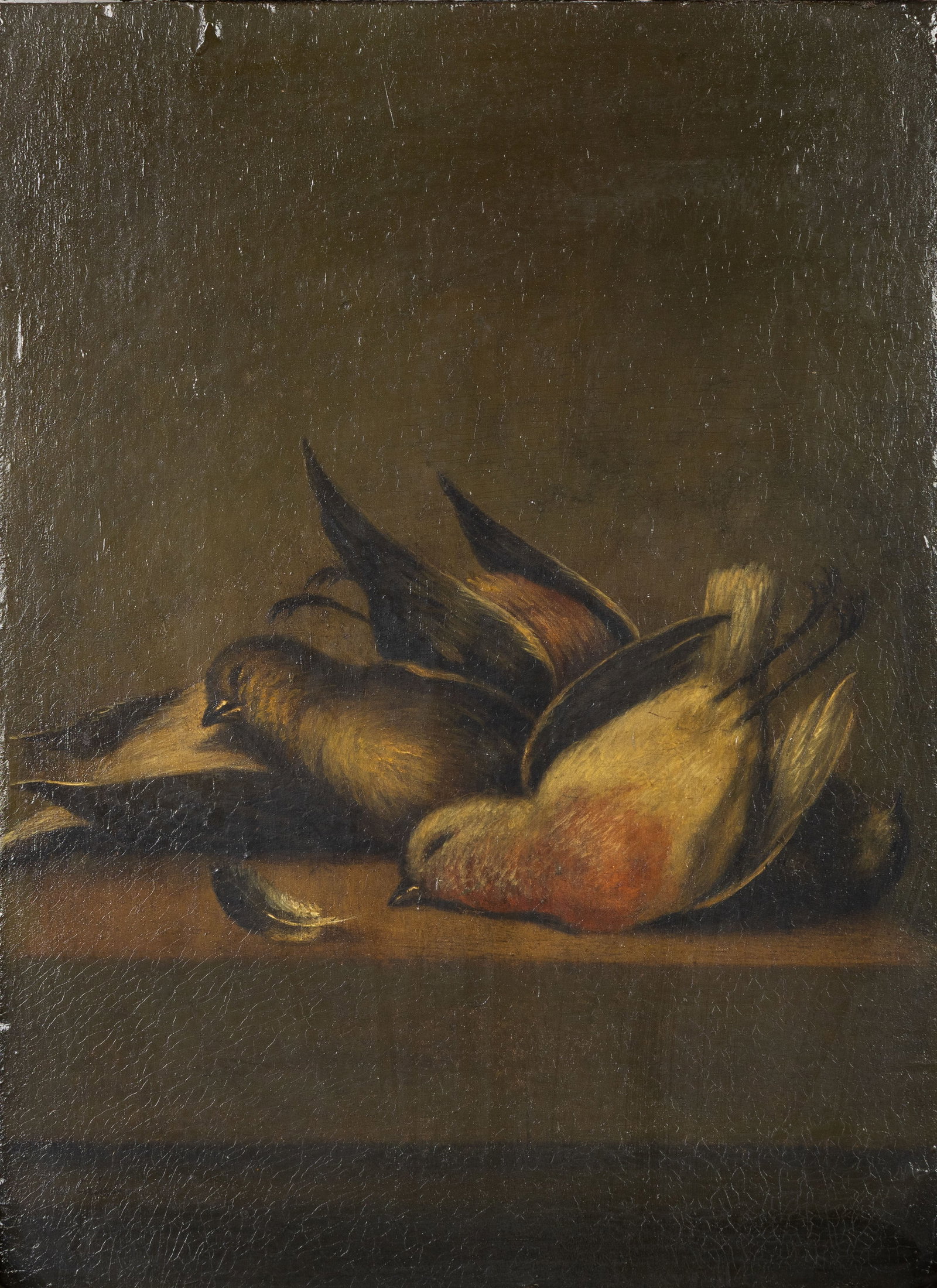 Van Calmthout (XVIII-XIX) ‘Still Life with Birds’, oil on panel. (1818) (1 of 6)