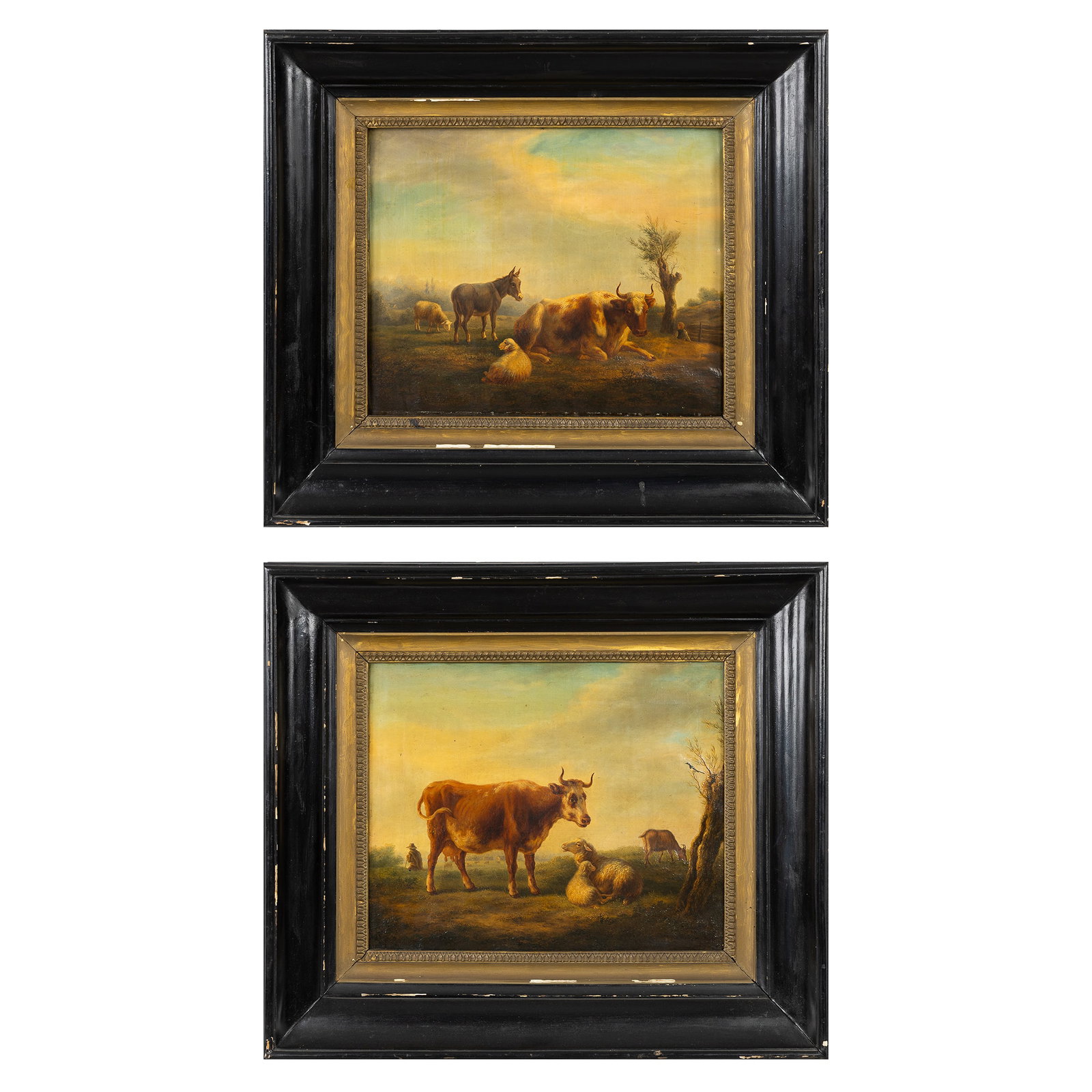 Eugene Verboeckhoven (1798/99-1881) (Attr.) a pair of pendant paintings with cows and sheep, oil on : Eugene Verboeckhoven (1798/99-1881) (Attr.) a pair of pendant paintings with cows and sheep, oil on canvas. Oil on canvas.Attributed to Eugene Verboeckhoven, unsigned. (47 x 54 cm) Dimensions: (W:36,5