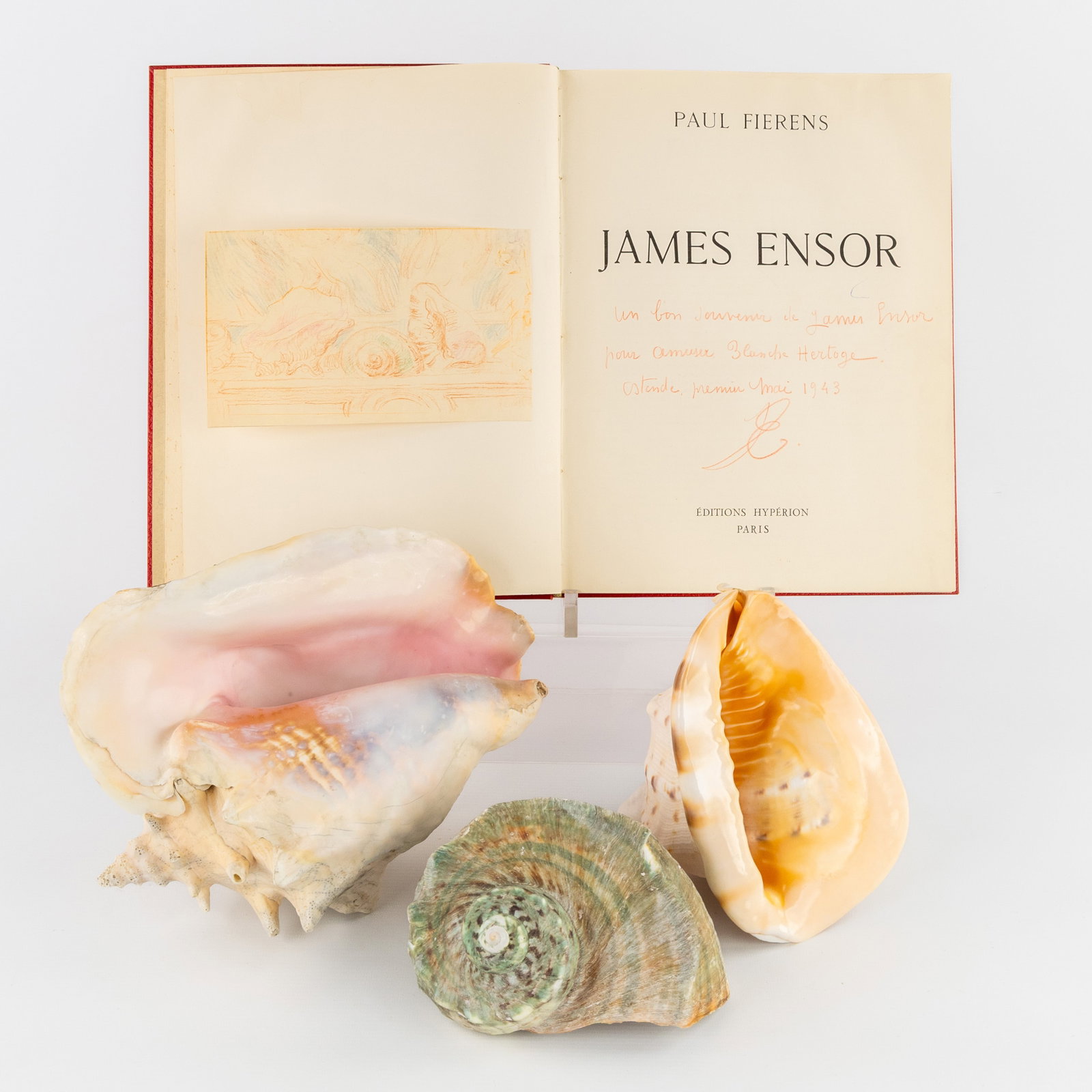 James Ensor (1860-1949) 'Cocquillages' a drawing, pencil on paper.: James Ensor (1860-1949) 'Cocquillages' a drawing, pencil on paper. A drawing, sanguine heightened with colored pencil on Japon paper.The drawing is mounted in the colophon of the book 'Paul Fierens, J
