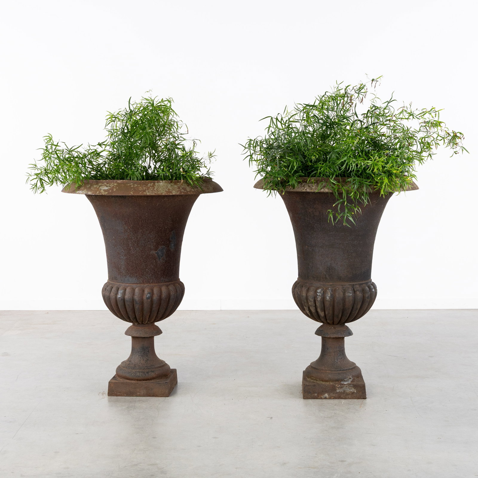 A Pair of large cast iron garden vases or Medici vases, Louis XVI style.: A Pair of large cast iron garden vases or Medici vases, Louis XVI style. Cast iron.Garden vases or Medici vases.Neoclassical style or Louis XVI style. France. (73 x
