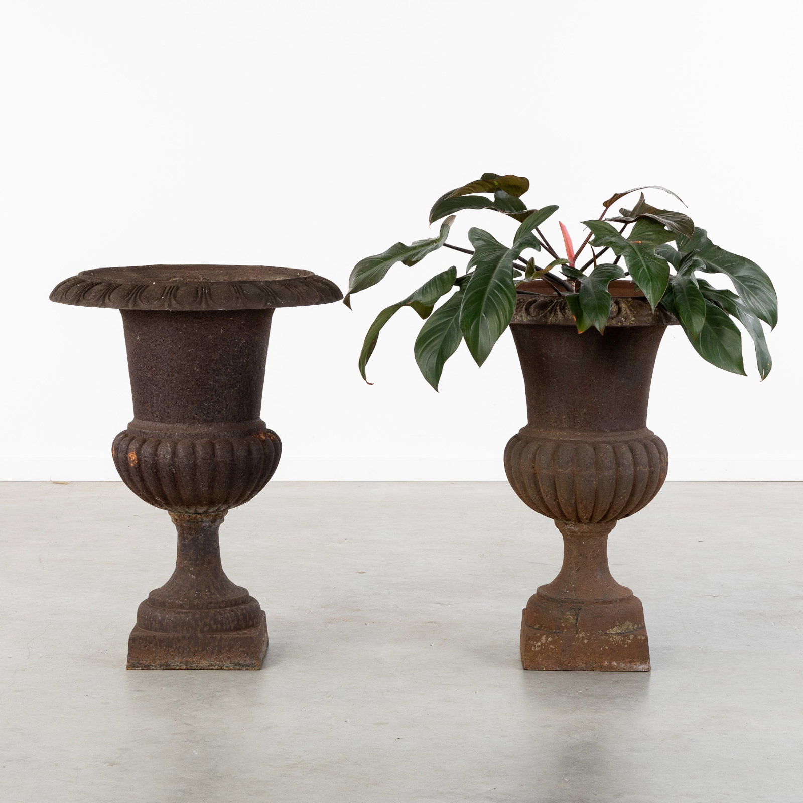 A Pair of large cast iron garden vases or Medici vases, Louis XVI style.: A Pair of large cast iron garden vases or Medici vases, Louis XVI style. Cast iron. Garden vases or Medici vases. Neoclassical style or Louis XVI style. France. H: 77 cm x D: 58 cm / H