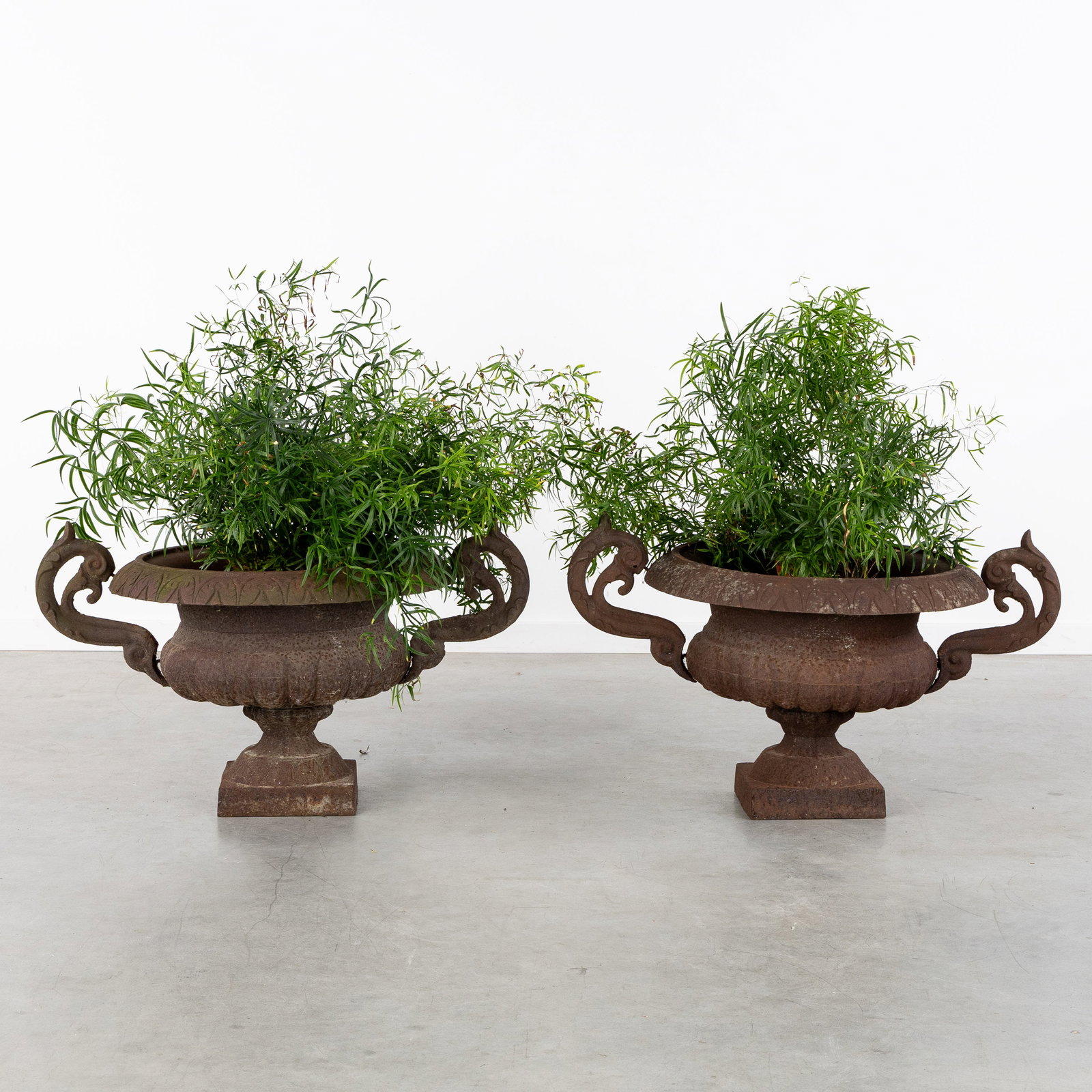 A Pair of large handled cast iron garden vases, Louis XVI style.: A Pair of large handled cast iron garden vases, Louis XVI style. Cast iron.Garden vases with handles.Neoclassical style or Louis XVI style. France. (84 x 45 x 59 cm