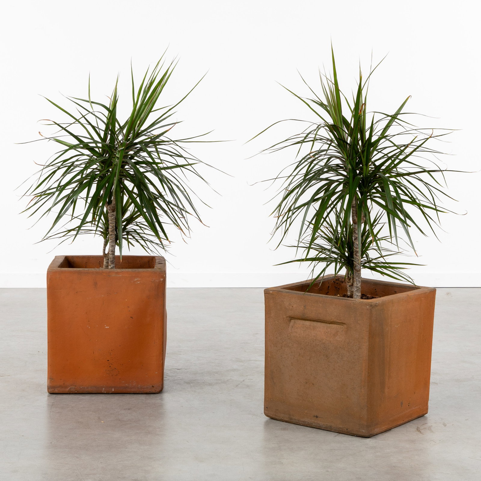 A Pair of square terracotta planters, Cubo Quadrato, Italy, 20th C. (1 of 6)