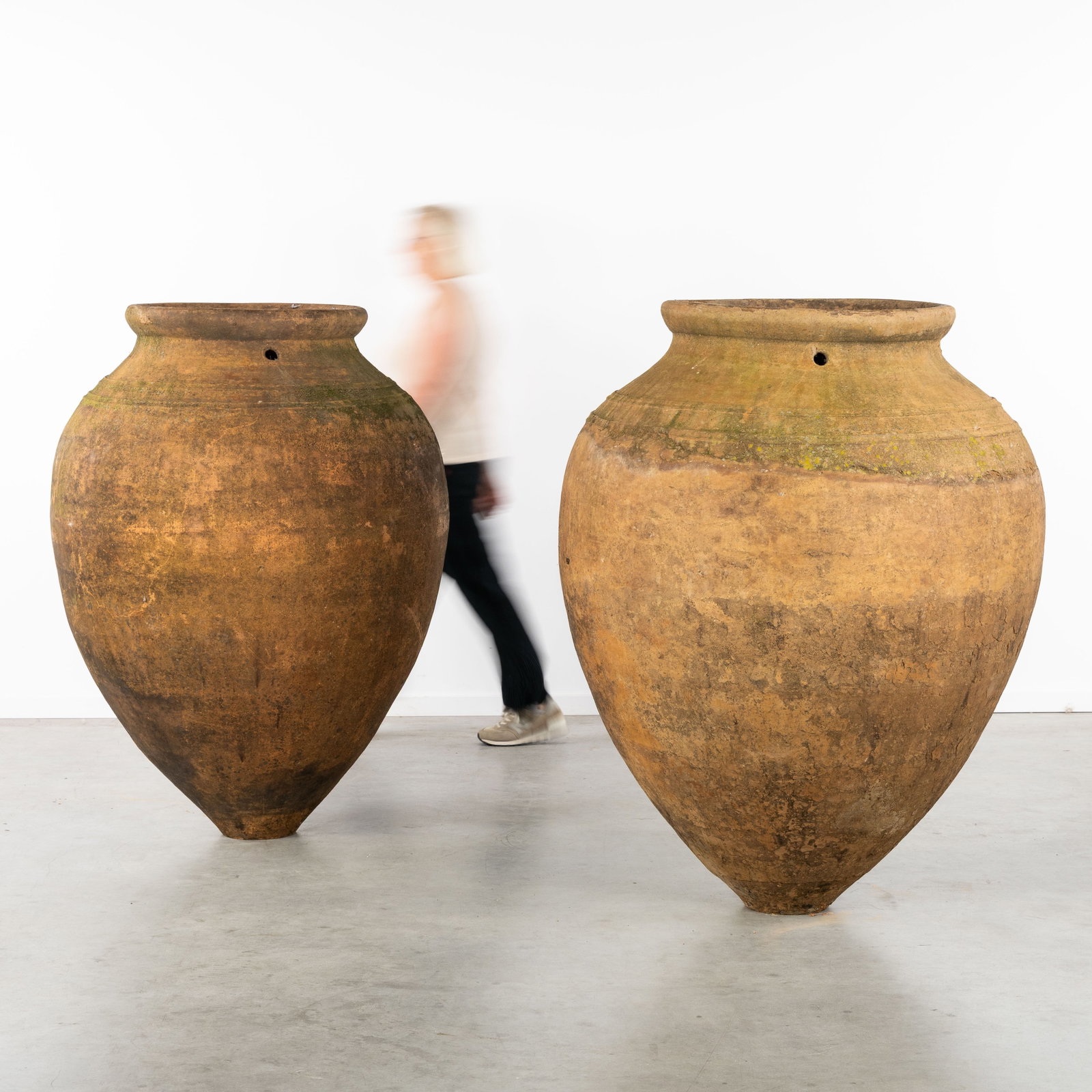 A Pair of exceptional Spanish olive urns or Tinajas, terracotta.: A Pair of exceptional Spanish olive urns or Tinajas, terracotta. (100 x 135 x 0 cm)