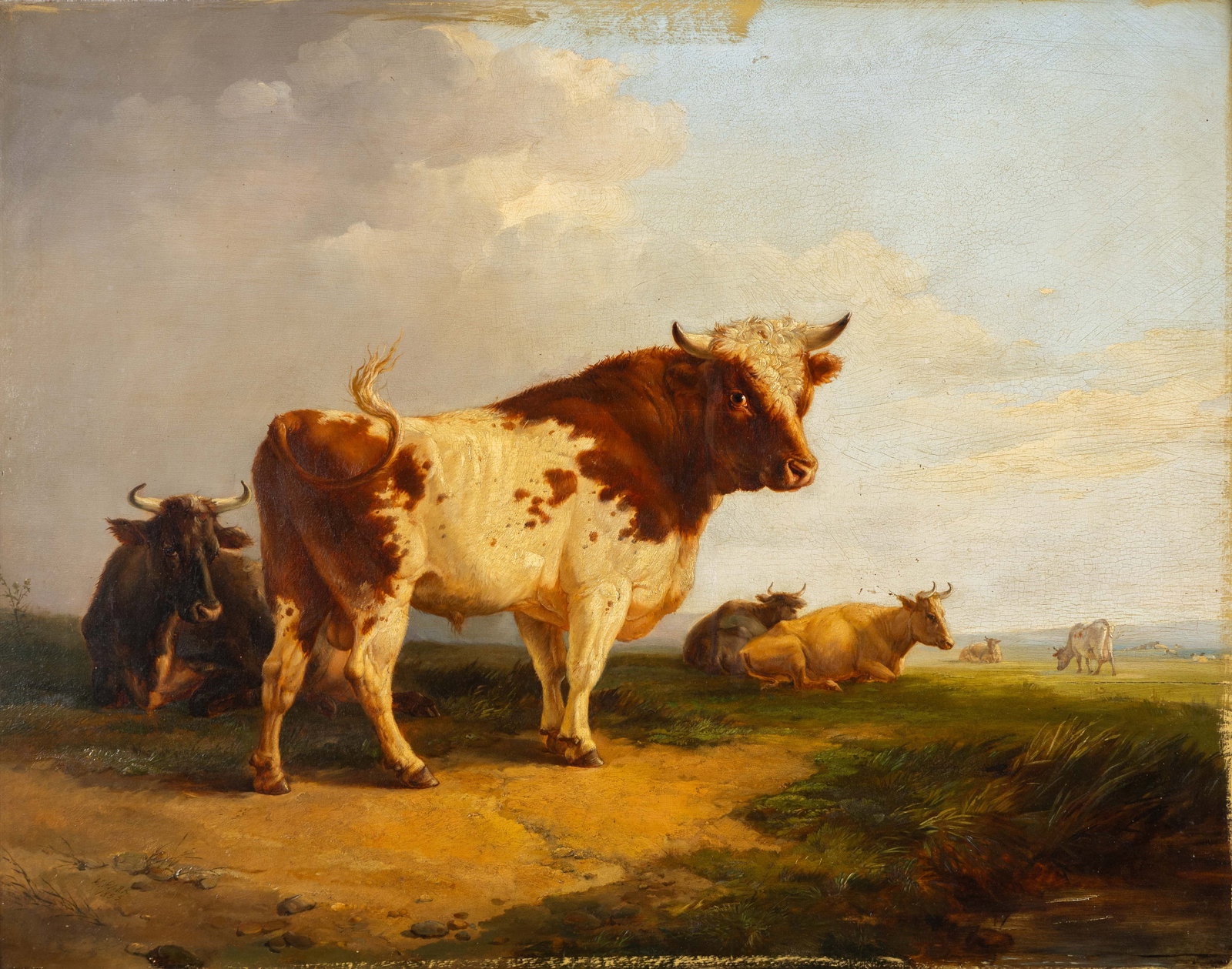 Henry Park (1816-1871) 'Bull with Cows', oil on panel (1855).: Henry Park (1816-1871) 'Bull with Cows', oil on panel (1855). Oil on panel.Signed and dated lower left. (100.5 x 119 cm) (90 x 71 x 0 cm)