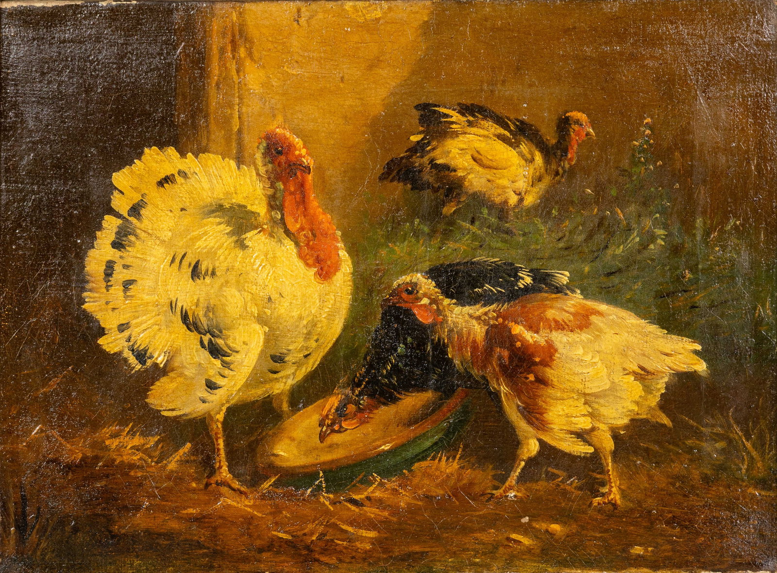 Joseph Edouard Stevens (1819-1892) 'Turkeys', oil on canvas. (1 of 7)