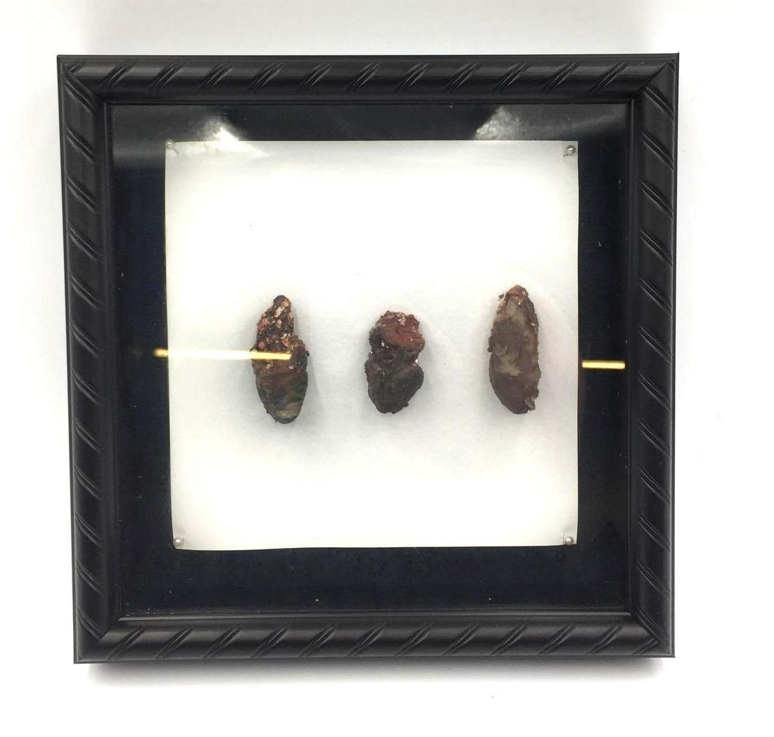 Turn: Frostbite Toes/Finger Props: An AMC Period Drama Television Series, Turn: Washington's Spies, authentic television show used Prop. Major Edmund Hewlett is a British Army officer who was in command of the garrison at Setauket unti