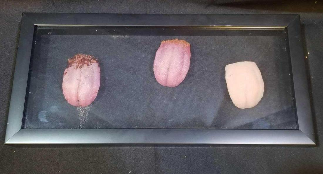 Turn: Severed Tongue Series Props: An AMC Period Drama Television Series, Turn: Washington's Spies, authentic television show used Prop. From Season 2: Simcoe sneaks into a Continental outpost and slits a captain's neck. He then cuts o