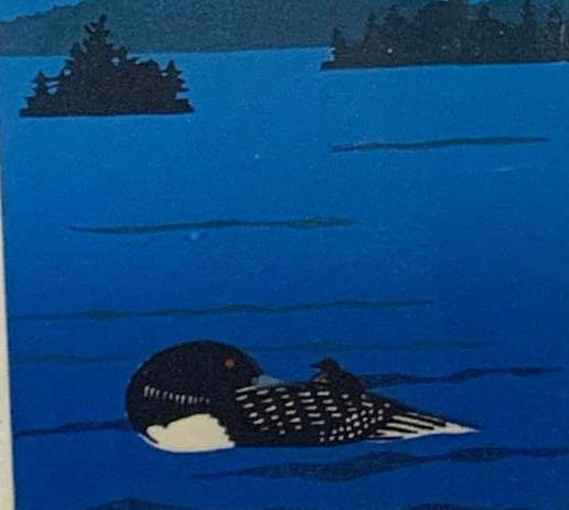 Spencer and Sabra Field, Loon Light (1 of 5)