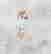 item-119651186=3