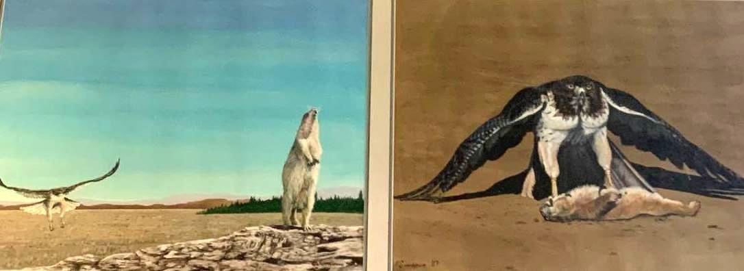 Herb Simeone (1941-2016), Redtail Diptych: Herb Simeone (1941-2016), Redtail Diptych Origin: American, 1987 and 1990 Medium: Watercolor on Paper Dimensions: Art and Frame 25" X 46" Condition: Excellent Additional Information: Signature and d