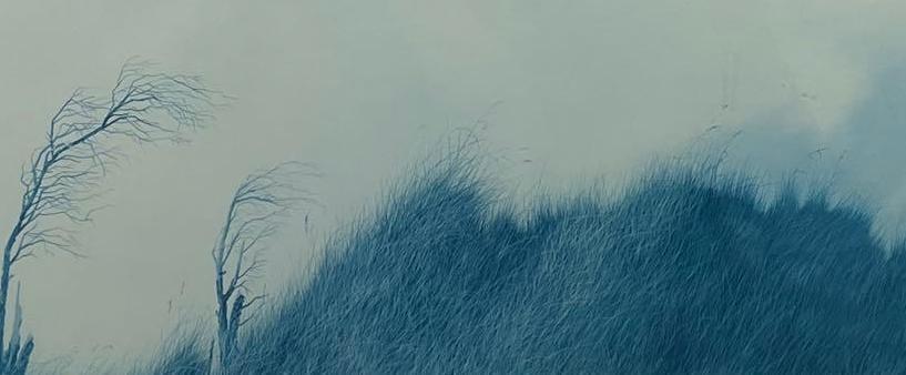 Herb Jones, Grass (1 of 7)